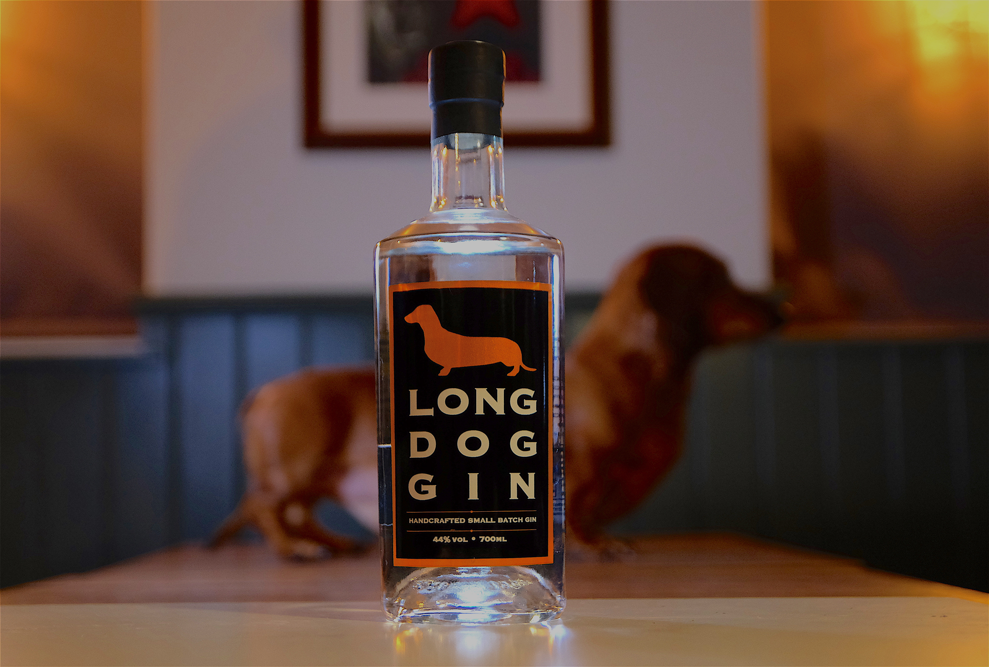 long dog gin with dog in background
